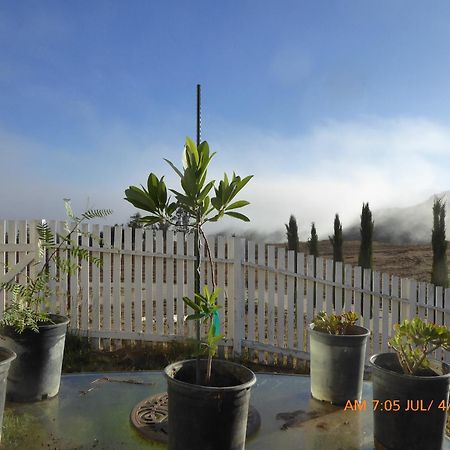 Mansion On The Hill Let 4 Rooms, 5Th Cost Extra Sage Extérieur photo